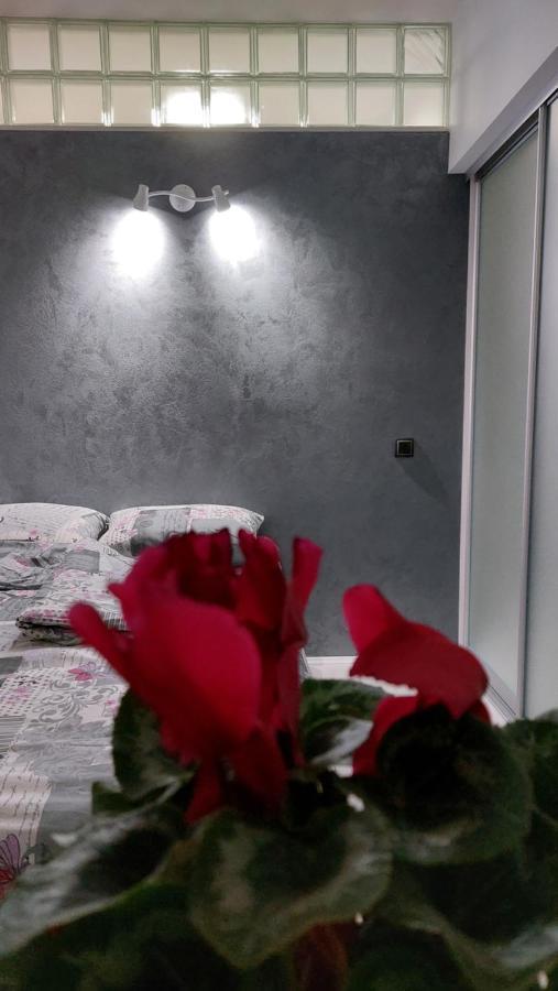 Apartman 23 Beograd Bagian luar foto