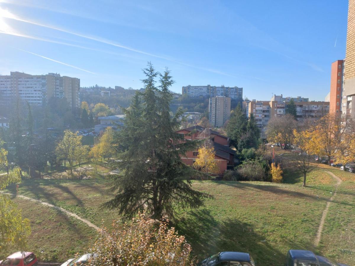 Apartman 23 Beograd Bagian luar foto